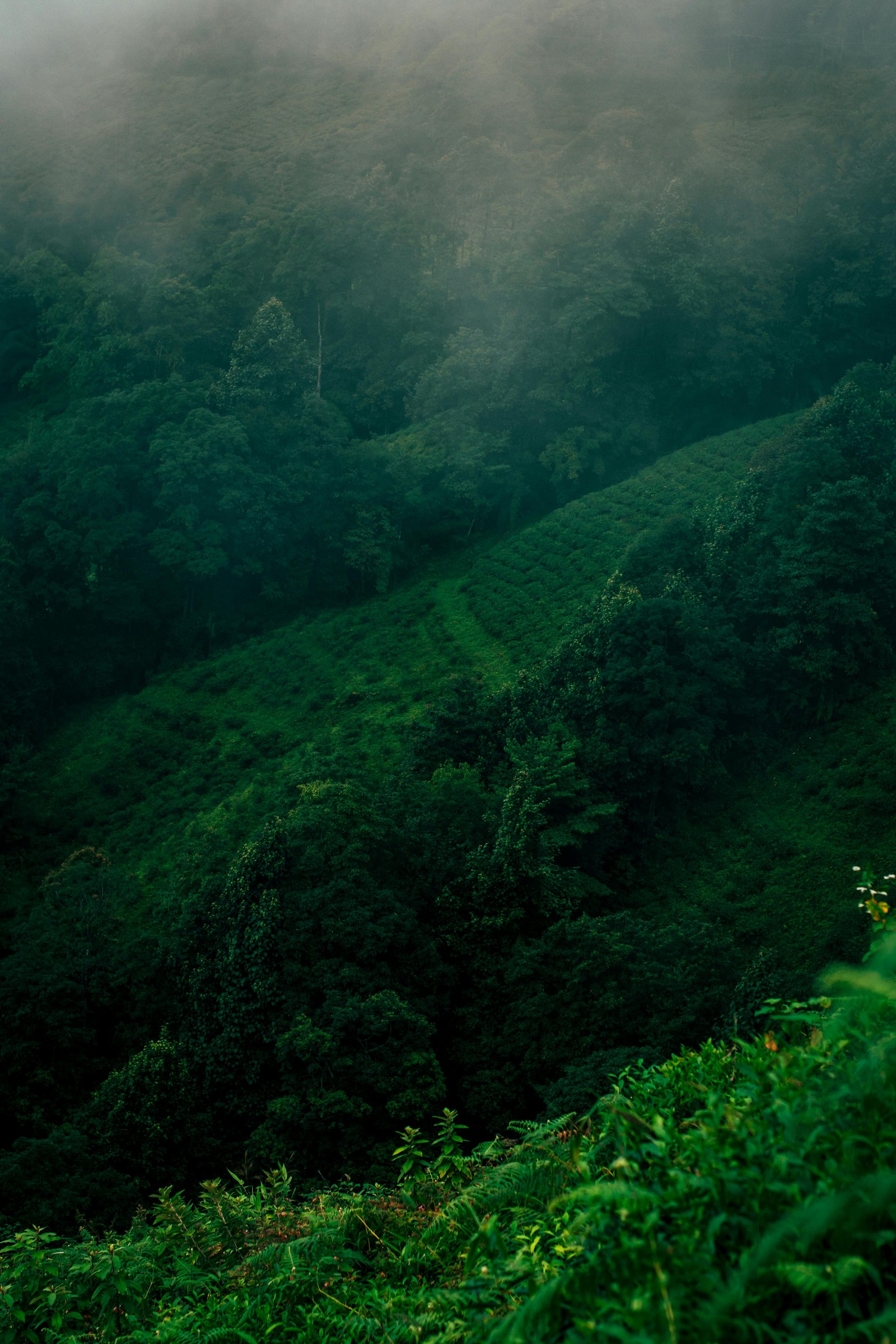 destination-image