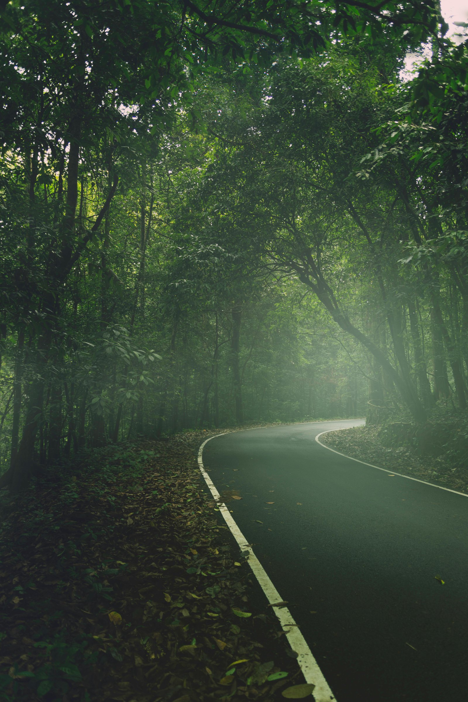 destination-image